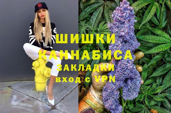 бошки Горнозаводск