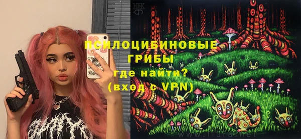 бошки Горнозаводск