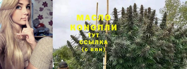 тгк Дмитровск